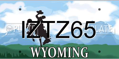 IZTZ65 Wyoming License Plate