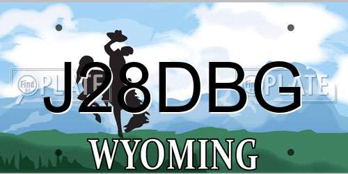 J28DBG Wyoming License Plate