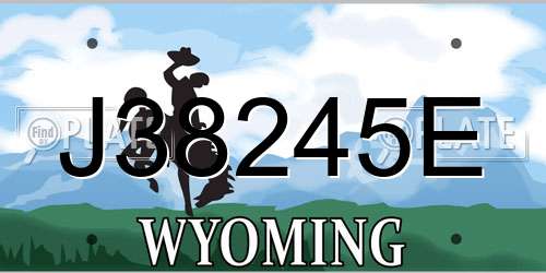 J38245E Wyoming License Plate