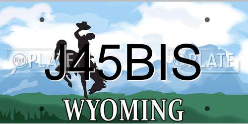 J45BIS Wyoming License Plate
