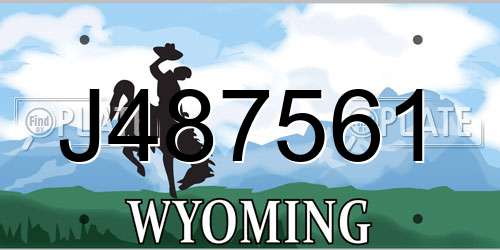 J487561 Wyoming License Plate