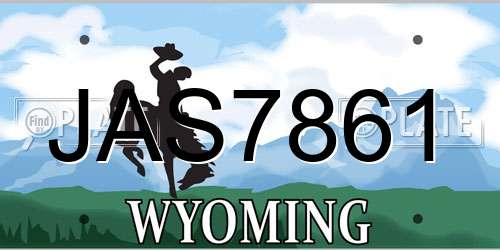 JAS7861 Wyoming License Plate