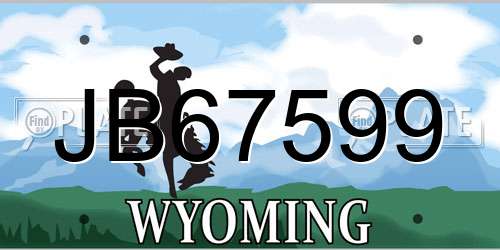 JB67599 Wyoming License Plate