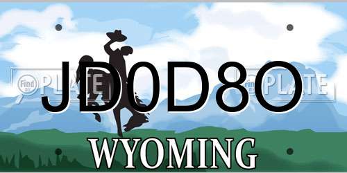 JD0D8O Wyoming License Plate