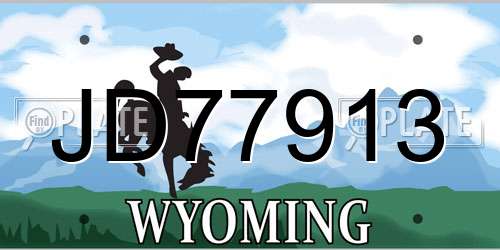 JD77913 Wyoming License Plate