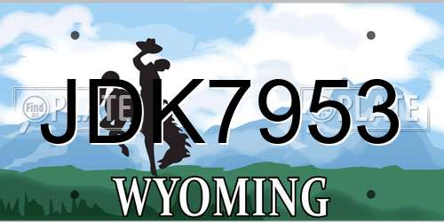 JDK7953 Wyoming License Plate