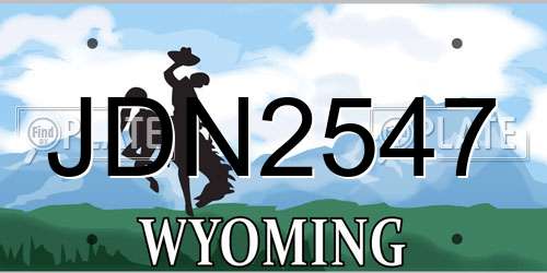 JDN2547 Wyoming License Plate