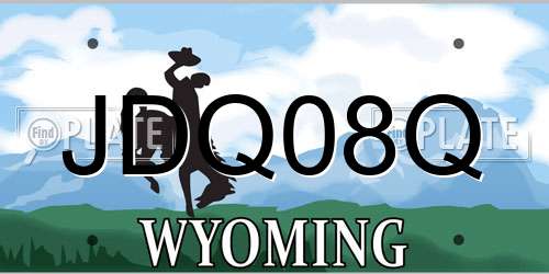JDQ08Q Wyoming License Plate