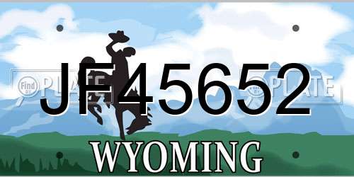 JF45652 Wyoming License Plate