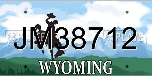 JM38712 Wyoming License Plate