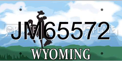 JM65572 Wyoming License Plate