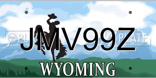 JMV99Z Wyoming License Plate