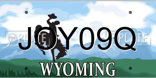 JOY09Q Wyoming License Plate