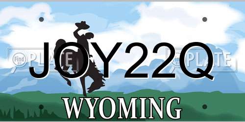 JOY22Q Wyoming License Plate