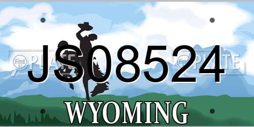 JS08524 Wyoming License Plate