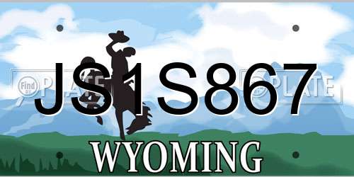 JS1S867 Wyoming License Plate