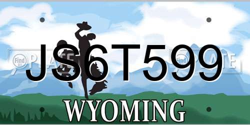 JS6T599 Wyoming License Plate