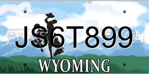 JS6T899 Wyoming License Plate