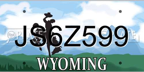 JS6Z599 Wyoming License Plate