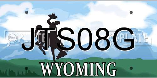 JTS08G Wyoming License Plate