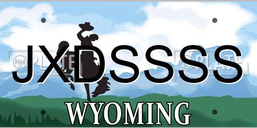 JXDSSSS Wyoming License Plate