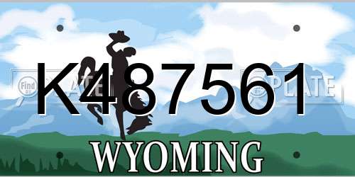 K487561 Wyoming License Plate