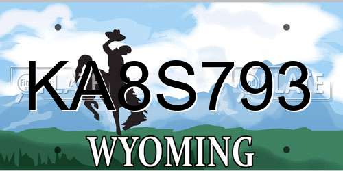KA8S793 Wyoming License Plate