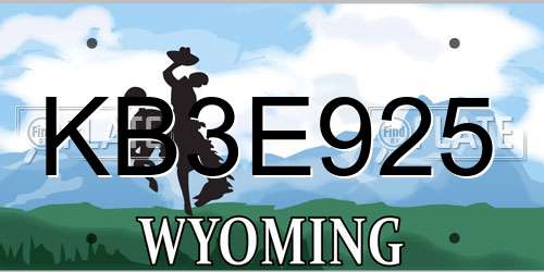 KB3E925 Wyoming License Plate