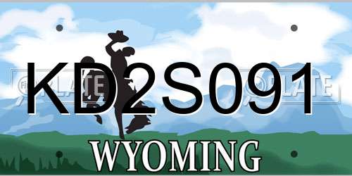 KD2S091 Wyoming License Plate