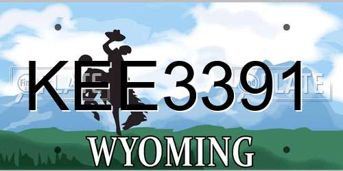 KEE3391 Wyoming License Plate