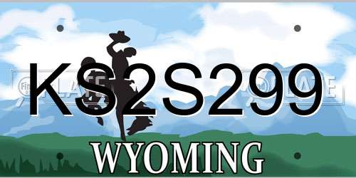 KS2S299 Wyoming License Plate