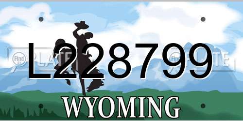 L228799 Wyoming License Plate