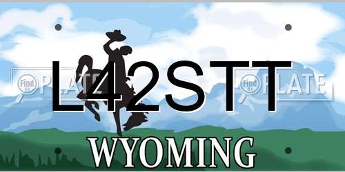 L42STT Wyoming License Plate