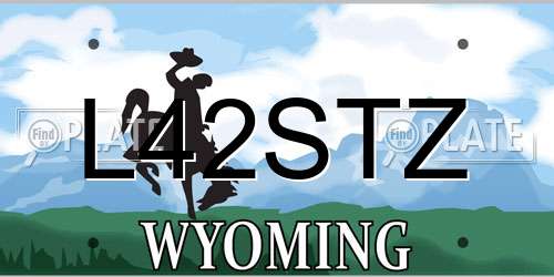L42STZ Wyoming License Plate