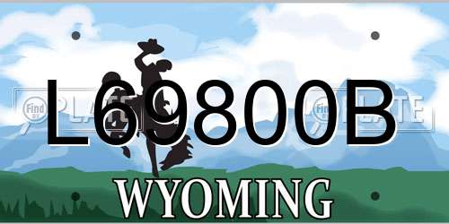 L69800B Wyoming License Plate