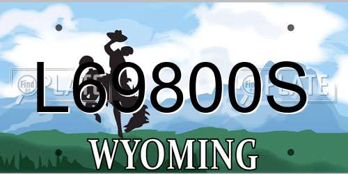 L69800S Wyoming License Plate