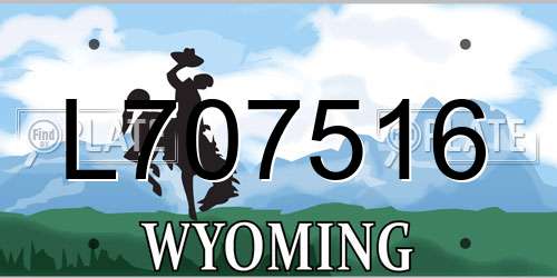 L707516 Wyoming License Plate