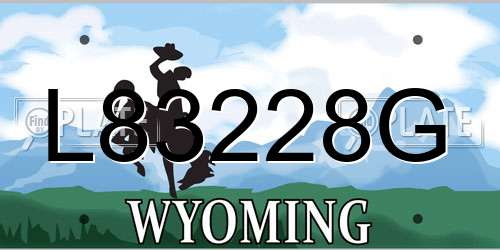 L83228G Wyoming License Plate