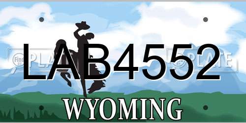 LAB4552 Wyoming License Plate