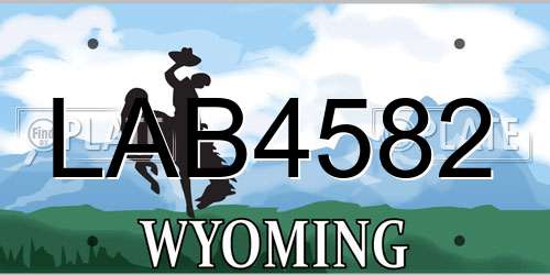 LAB4582 Wyoming License Plate