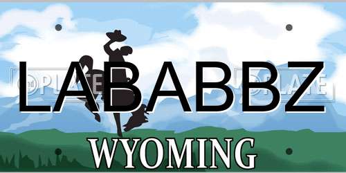 LABABBZ Wyoming License Plate