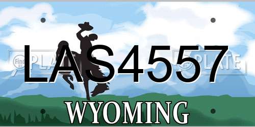 LAS4557 Wyoming License Plate