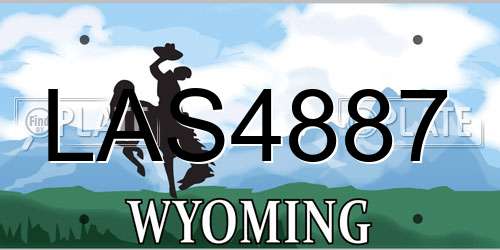 LAS4887 Wyoming License Plate
