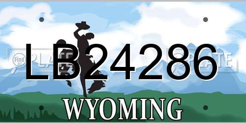 LB24286 Wyoming License Plate