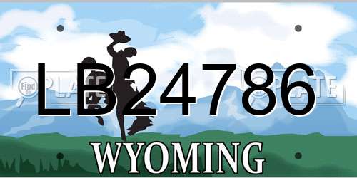 LB24786 Wyoming License Plate