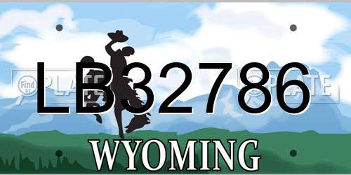 LB32786 Wyoming License Plate