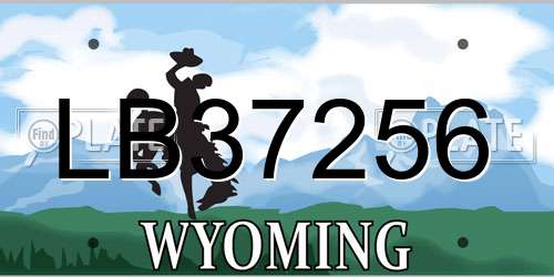 LB37256 Wyoming License Plate