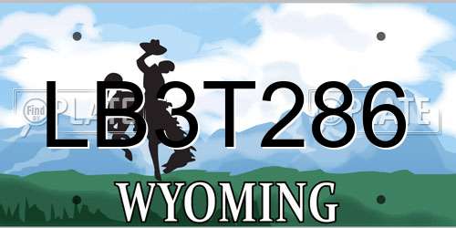 LB3T286 Wyoming License Plate