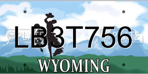 LB3T756 Wyoming License Plate