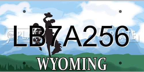 LB7A256 Wyoming License Plate